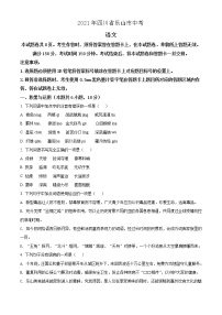 2021年四川省乐山市中考语文试题（原卷+解析）