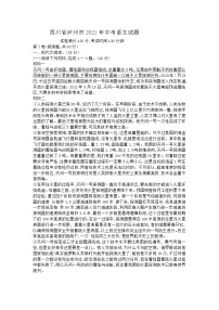 2021年四川省泸州市中考语文真题（解析版）