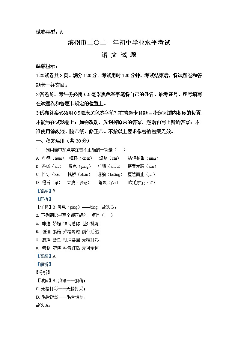 2021年山东省滨州市中考语文试题（原卷+解析）01