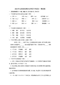 2020年云南省昆明市五华区中考一模语文试卷（含答案）