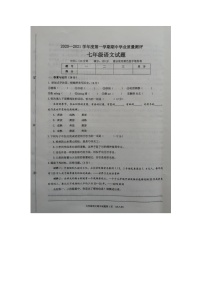 山东省菏泽市成武县2020-2021学年七年级上学期期中学业质量测评语文试题（图片版含答案）