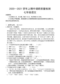 河南省鹤壁市淇县2020-2021学年七年级上学期期中考试语文试题（含答案）
