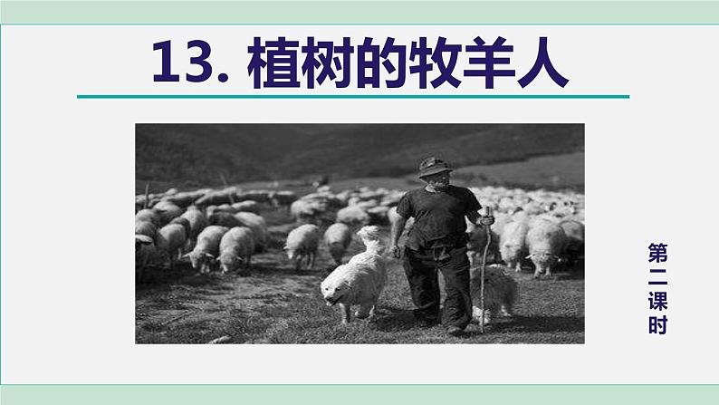 13《植树的牧羊人》课件+素材01