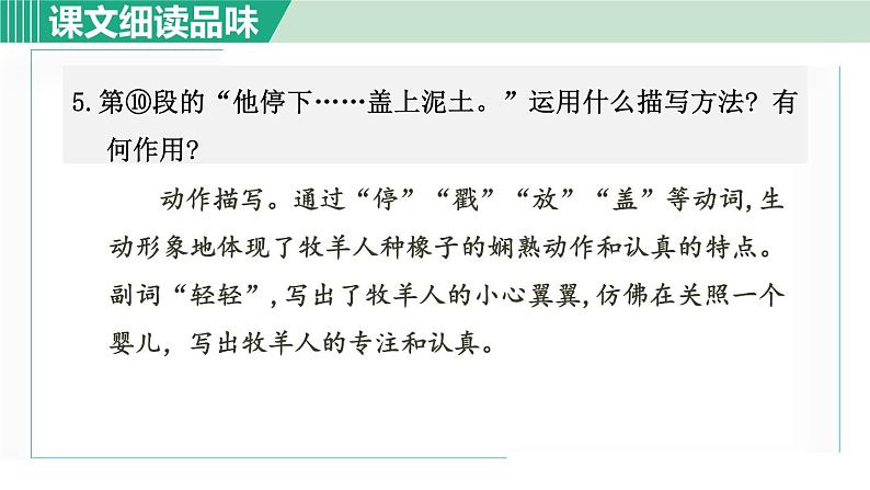 13《植树的牧羊人》课件+素材06