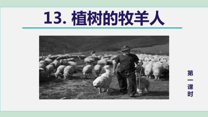 13《植树的牧羊人》课件+素材02