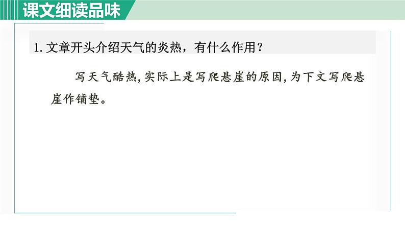 14*《走一步，再走一步》课件+素材02