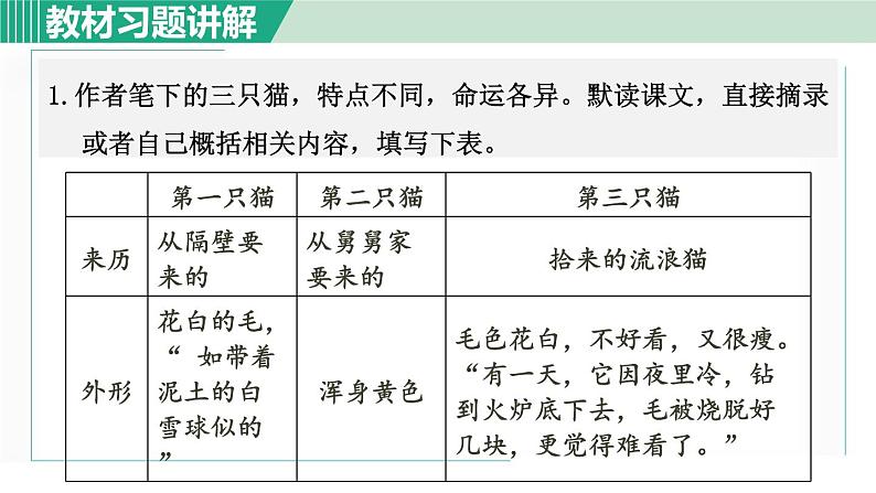 16《猫》课件+素材01