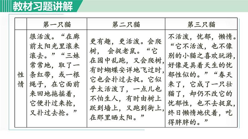 16《猫》课件+素材02