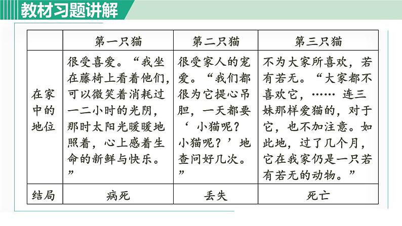 16《猫》课件+素材03