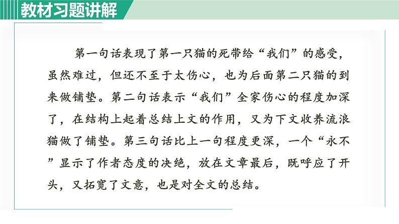 16《猫》课件+素材05