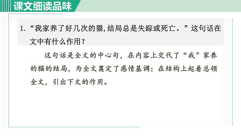 16《猫》课件+素材02