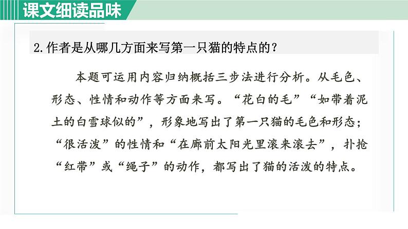 16《猫》课件+素材03