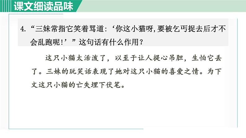 16《猫》课件+素材05
