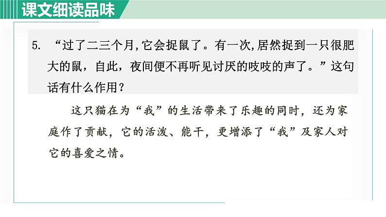 16《猫》课件+素材06