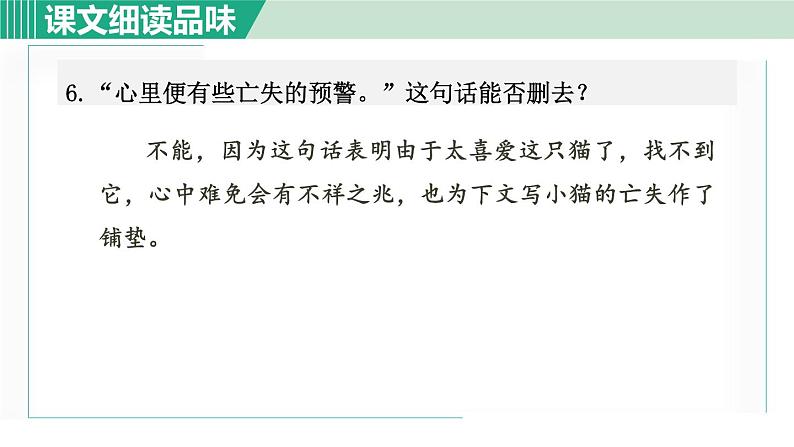 16《猫》课件+素材07