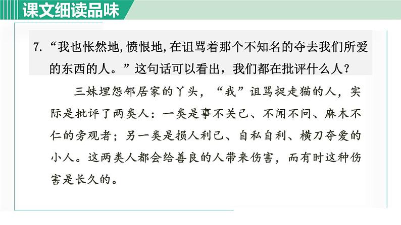 16《猫》课件+素材08