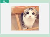 16《猫》课件+素材