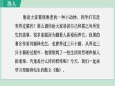 16《猫》课件+素材