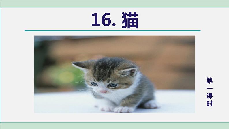 16《猫》课件+素材06