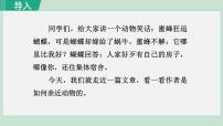 语文七年级上册动物笑谈课前预习课件ppt