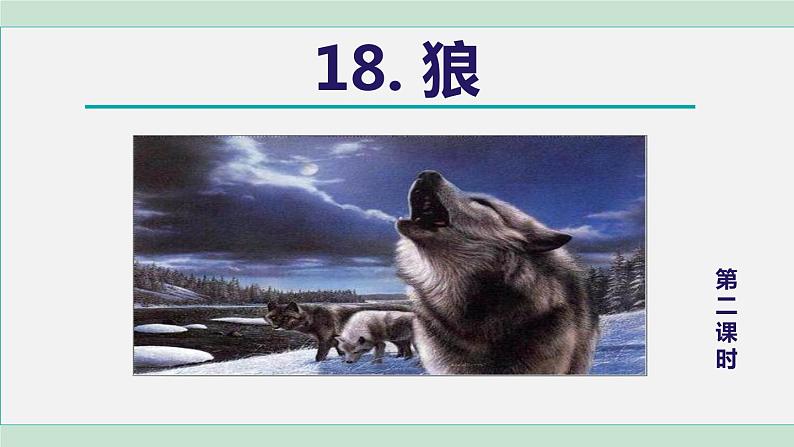 18《狼》课件+素材01