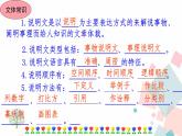 人教部编版语文八年级下册 5 大自然的语言（课件+教案+同步练习）