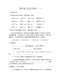 2020—2021学年部编版语文七年级下册期末复习综合训练（一）（无答案）
