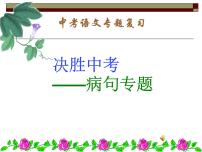 2022年部编中考语文专题复习修改病句专题课件