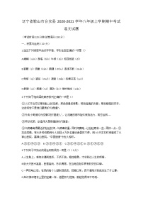 辽宁省鞍山市台安县2020-2021学年八年级上学期期中考试语文试题（含答案）