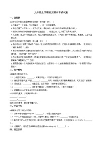 2021年广东省佛山市禅城区九年级上学期语文期末考试试卷