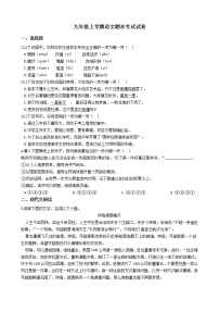 2021年广西百色市九年级上学期语文期末考试试卷