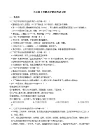 2021年广西梧州市岑溪市九年级上学期语文期末考试试卷