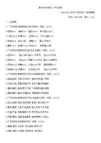 期末专项训练（一）字音字形，词语理解—2020-2021学年八年级语文下册部编版（含答案）