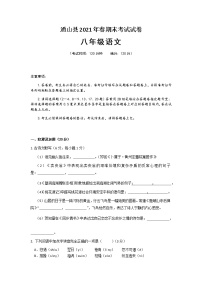 湖北省通山县2020-2021学年八年级下学期期末考试语文试题（word版，无答案）