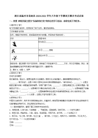 浙江省温州市苍南县2020-2021学年八年级下学期语文期末考试试卷（解析版）