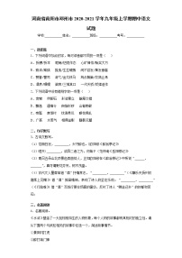 河南省南阳市邓州市2020-2021学年九年级上学期期中语文试题（word版 含答案）