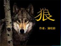 人教部编版七年级上册第五单元18 狼说课ppt课件