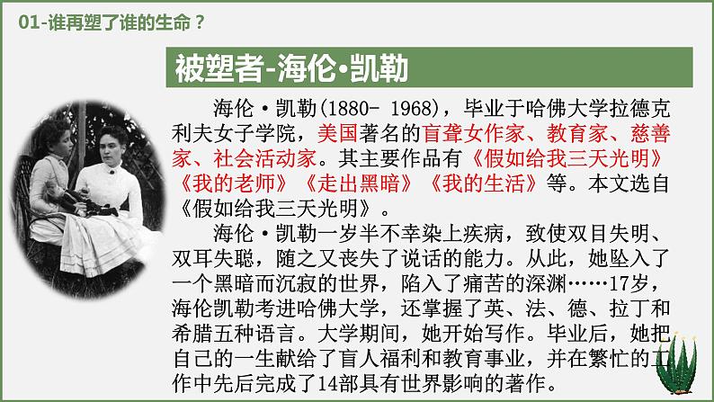 部编版语文七上《再塑生命的人》PPT课件PPT第3页