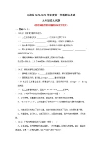 广东省佛山市南海区2020-2021学年九年级上学期期末考试语文试题（解析版）