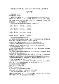 湖南省永州市零陵区2020-2021学年九年级上学期期中考试语文试题（含答案）