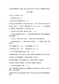 山东省东营市广饶县2021-2022学年九年级上学期期中测试语文试题（含答案）