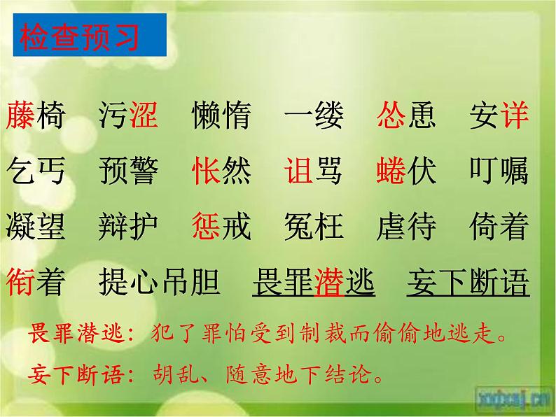 七年级上册 第五单元 16《猫》课件PPT第6页