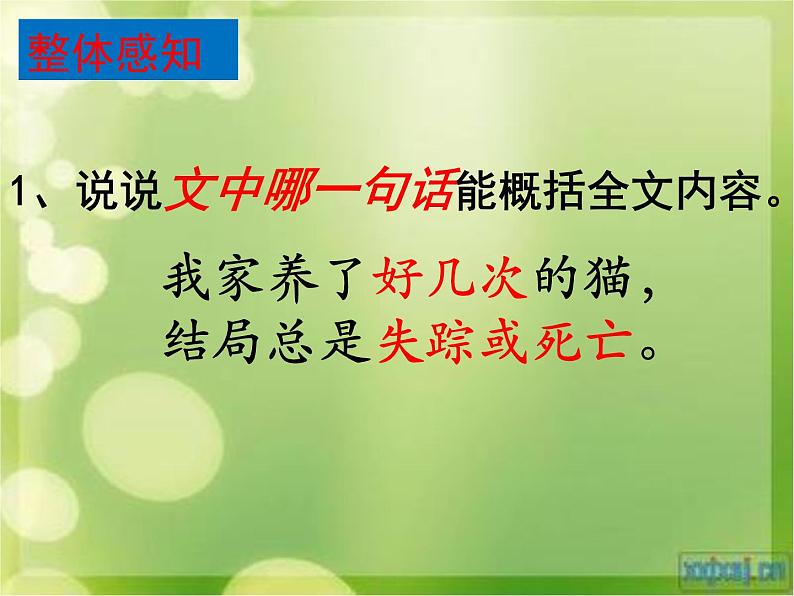 七年级上册 第五单元 16《猫》课件PPT第7页
