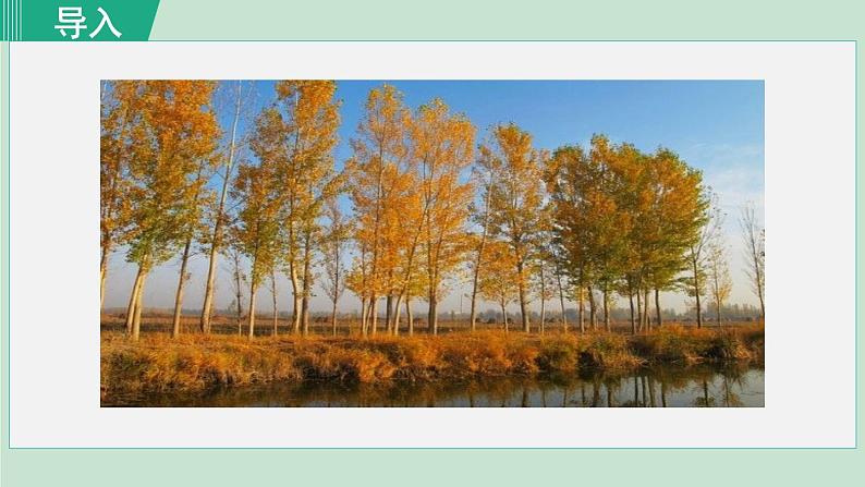 15. 白杨礼赞 第1课时第1页