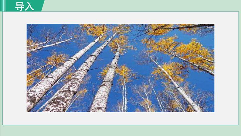 15. 白杨礼赞 第1课时第2页