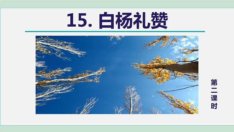 15. 白杨礼赞 第2课时第1页