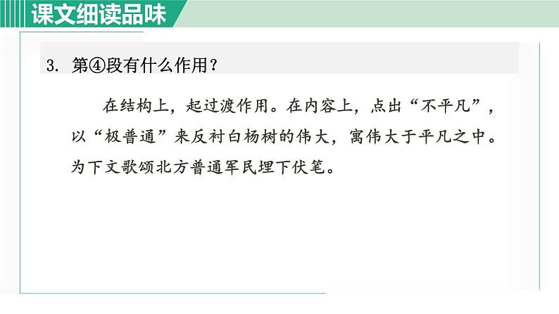 15. 白杨礼赞 第2课时第4页