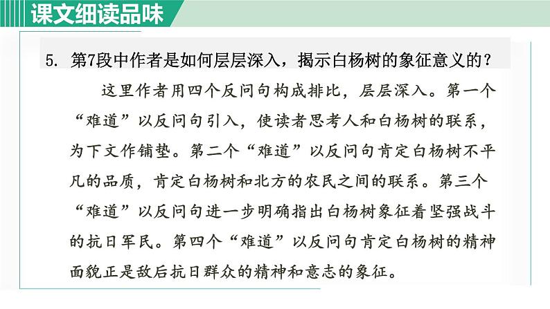 15. 白杨礼赞 第2课时第6页