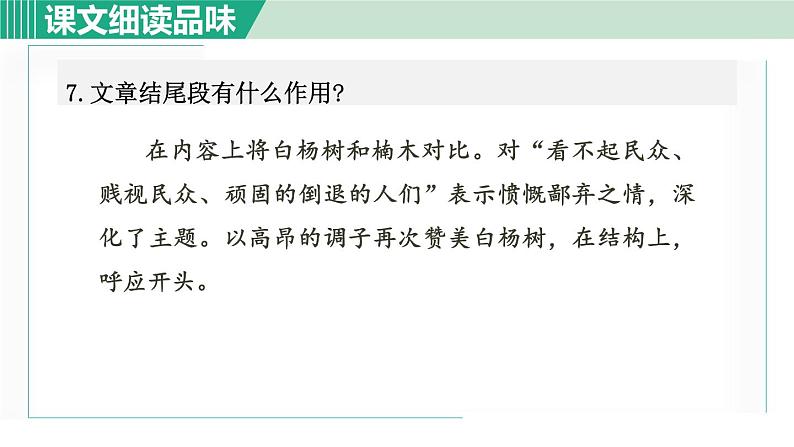15. 白杨礼赞 第2课时第8页