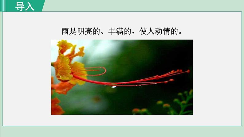 17《昆明的雨》课件+素材01